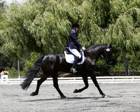 FWF_DressageShow17_D1_4757