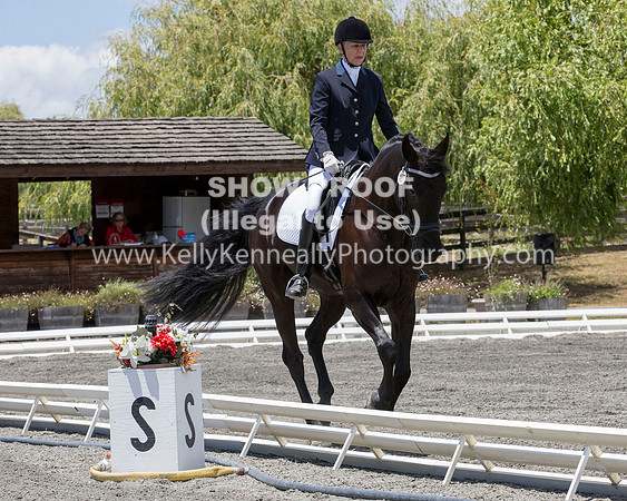 FWF_DressageShow17_D1_4770