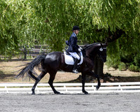 FWF_DressageShow17_D1_4779