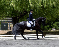 FWF_DressageShow17_D1_4780