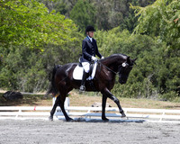 FWF_DressageShow17_D1_4781
