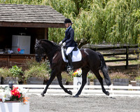 FWF_DressageShow17_D1_4792