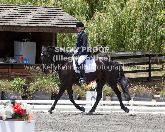 FWF_DressageShow17_D1_4792