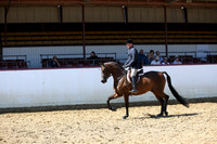 Class 320 - Arabian Hunter Pl/AATR Choice/Elite
