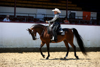 Class 324 - Arabian Western Pl/AAOTR 50 Yrs/Over