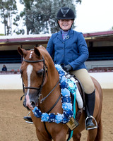 Class 279 - Walk-Trot Hunter Pleasure