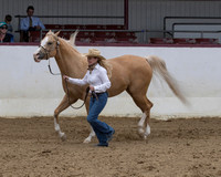 Class 208 - HA Mare Breeding/2yrs & Over AOTH