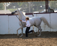 Class 218 - Arabian Mare/ATH 2 Yrs & Over