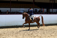 Class 251 - HA Hunter AAOTR 19-49 Yrs