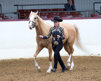 Class 220 - Showmanship/AATH 19 Yrs & Over