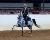 Class 221 - HA Country English Pl/Jr Horse 5 & Under