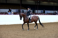 Class 222 - Hunter Seat Equitation Not to Jump/JTR 14-18
