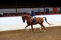 Class 243 - HA Hunter Pl/AAOTR 50 & Over