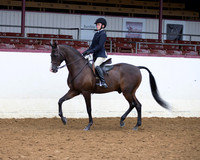 Class 223 - Hunter Seat Equitation Not to Jump/JTR 13 & Under