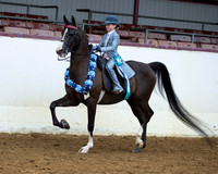Walk-Trot
