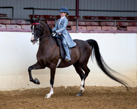 Class 224 - Walk-Trot Saddle Seat Equitation/10 & Under