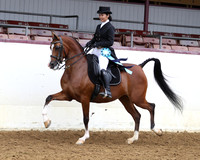 Class 228 - Arabian English Show Hack