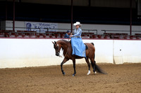 Class 242 - Arabian Ladies Side Saddle