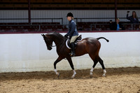 Class 248 - Arabian Hunter Pl/JOTR 14-18