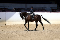 Class 253 - Walk-Trot Hunter Seat Equitation/Riders 10 & Under