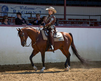 Class 255 - Arabian Western Pl/JOTR 18 & Under