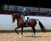 Class 285 - HA Hunter Pl/AATR Select