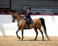 Class 287 - Walk-Trot Country English Pl/10 & Under