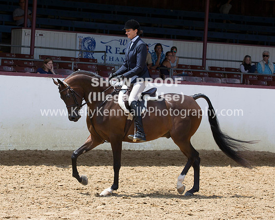 R217_Class387_9516 copy