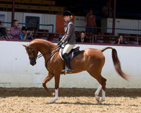 R217_Class387_9538 copy