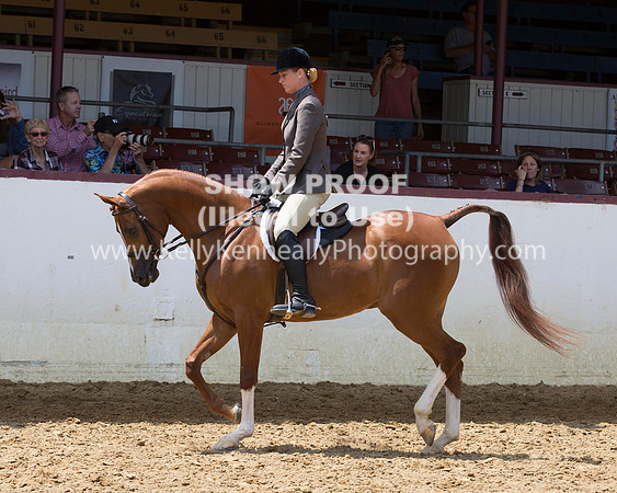 R217_Class387_9538 copy