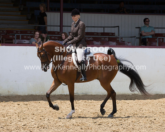 R217_Class387_9539 copy