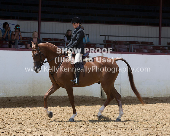 R217_Class387_9542 copy