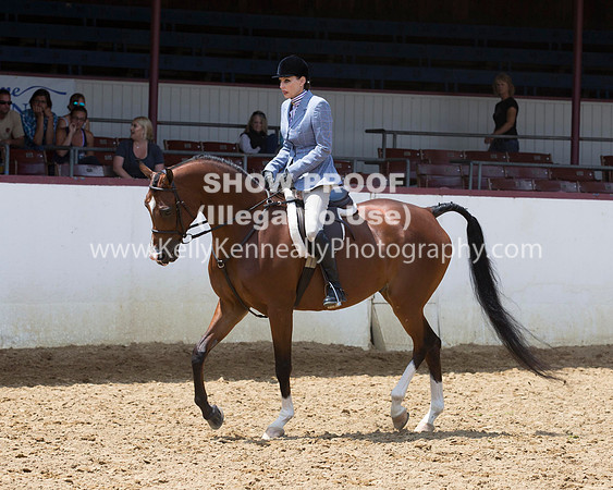 R217_Class387_9543 copy