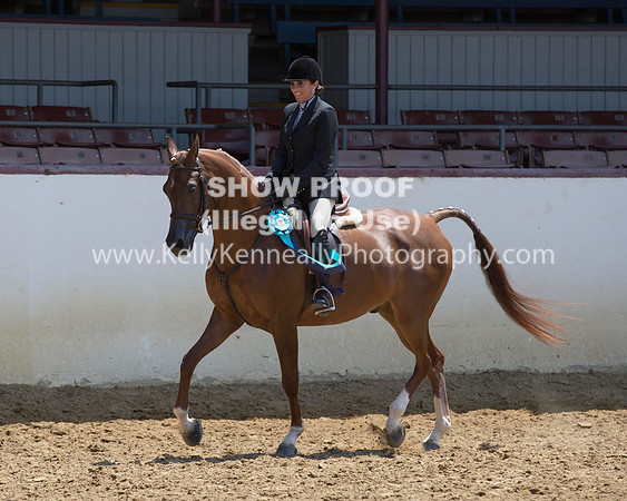 R217_Class387_9576 copy