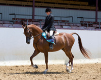 R217_Class387_9579 copy