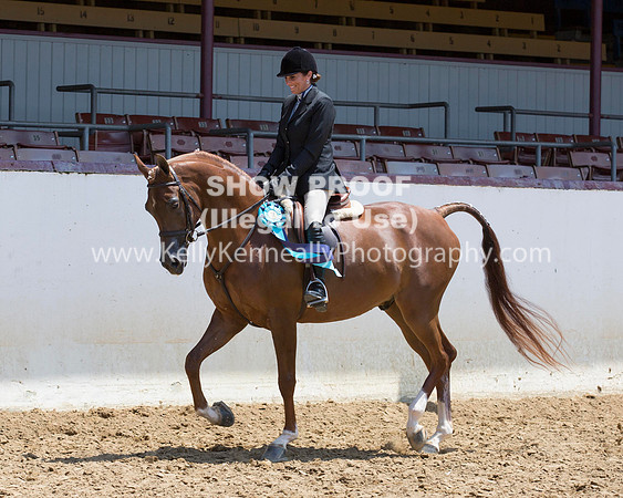 R217_Class387_9579 copy