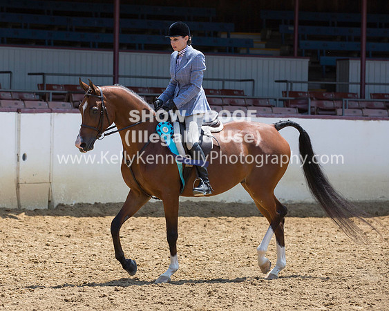 R217_Class387_9588 copy