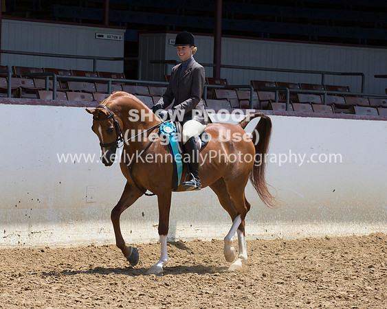 R217_Class387_9596 copy