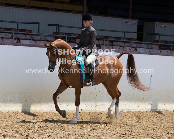 R217_Class387_9597 copy