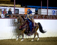 Class 265 - Arabian Mounted Native Costume Championship