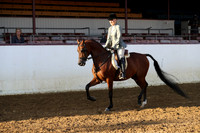 Class 257 - Arabian Hunter Pl/AAOTR 50 Yrs & Over