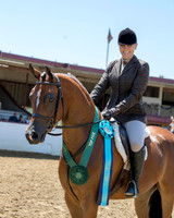 Class 293 - Arabian Hunter Pl/AAOTR 19-49 Yrs