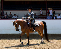 Class 297 - HA Western Pl/Jr Horse 5 & Under