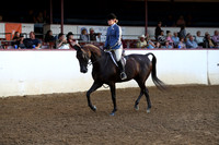 Class 306 - HA Hunter Pleasure Championship