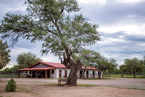 RS_ShowBarn_0265