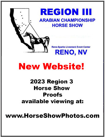New-Website