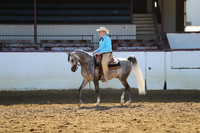 Class 69 - Arabian Western Pl/JTR Choice/Elite
