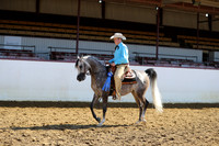 Class 70 - Arabian Western Pl/Maiden Horse