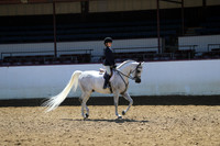 Class 80 - Walk-Trot Hunt Seat Equitation/Riders 10 & Under