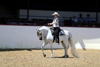 Class 83 - Arabian Western Pl/AAOTR 19 Yrs & Over
